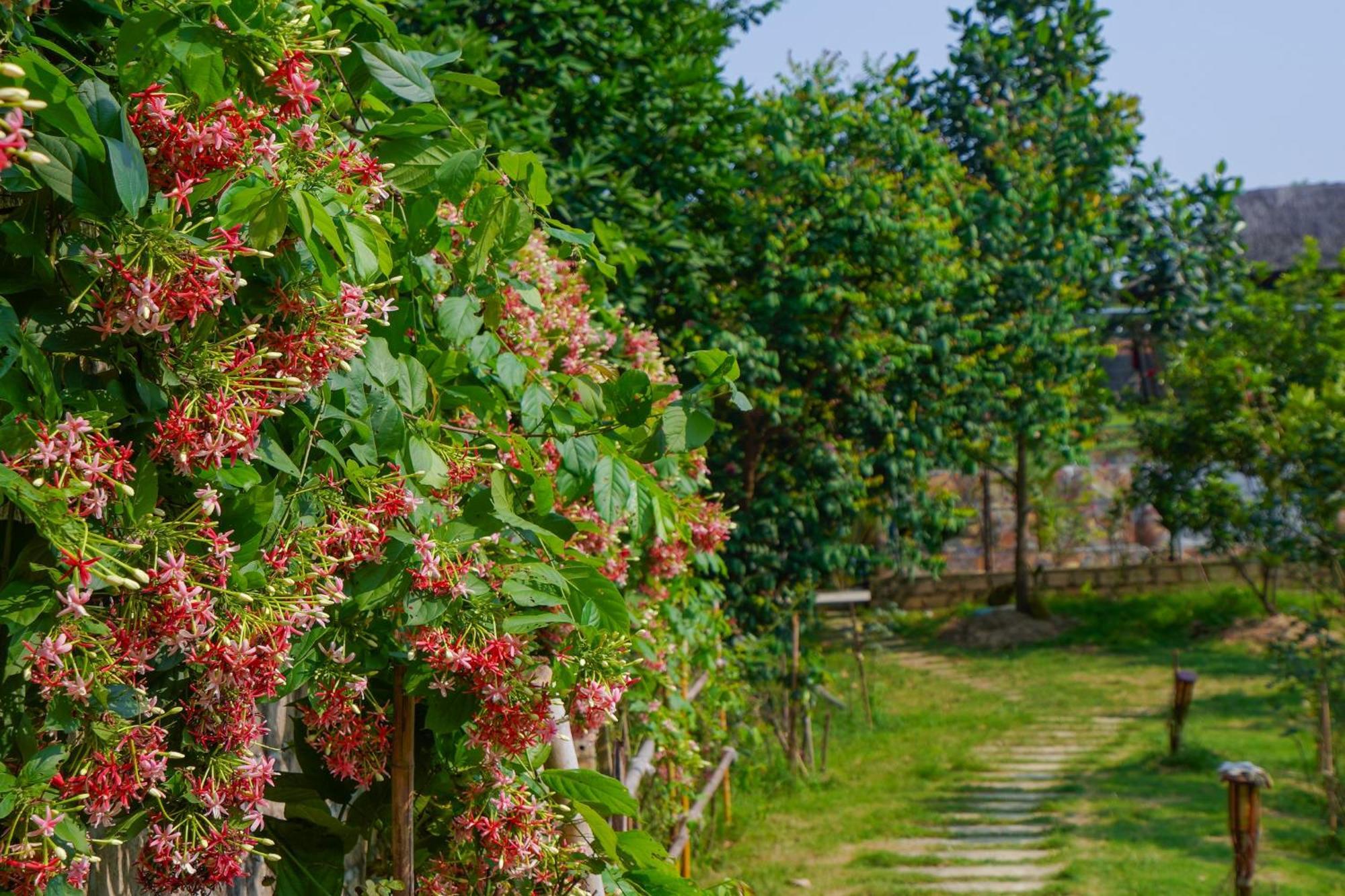 Little Bee House Hotel Trai Vang Bagian luar foto