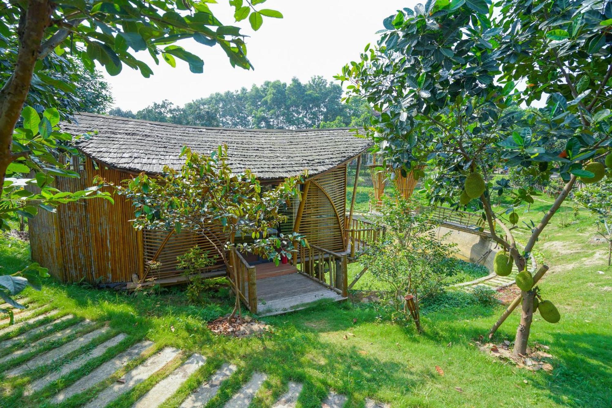 Little Bee House Hotel Trai Vang Bagian luar foto